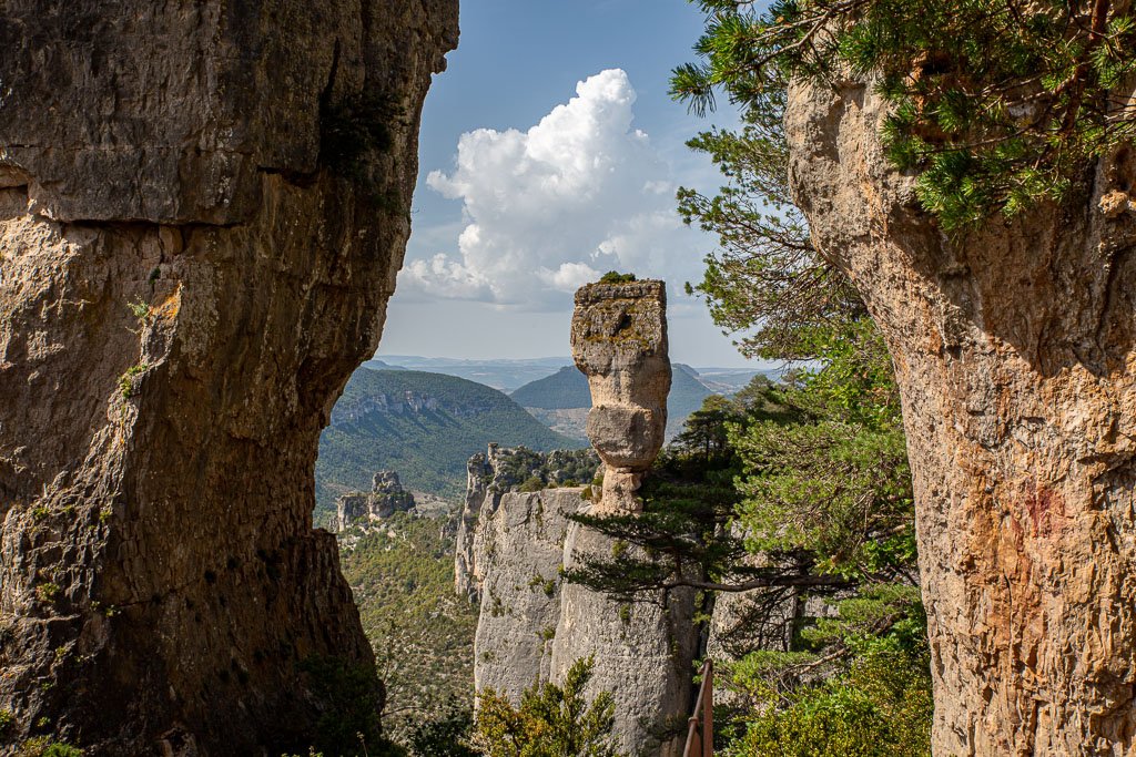 5D3_7132-2.jpg