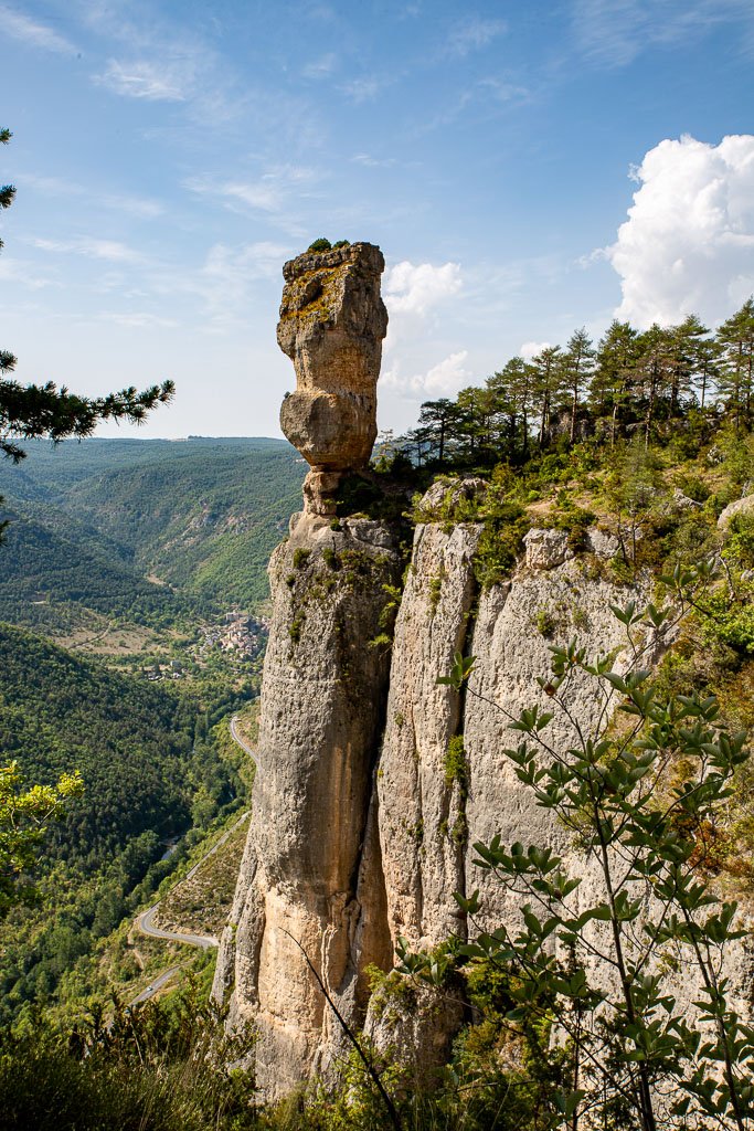 5D3_7136-2.jpg