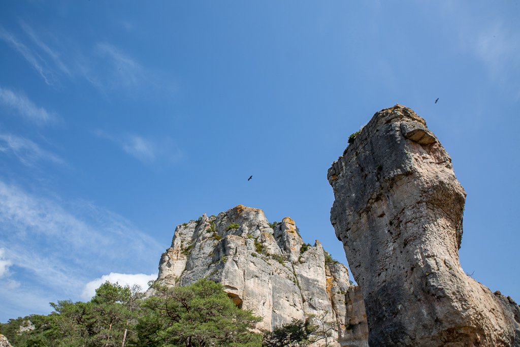 5D3_7159-2.jpg