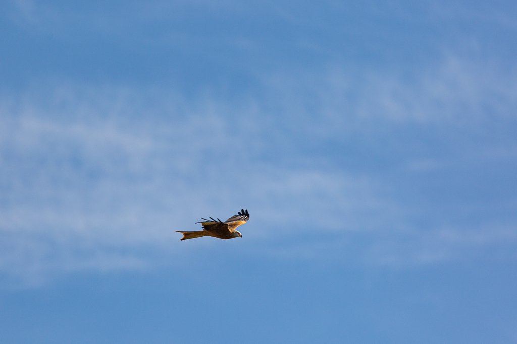 5D3_7279.jpg