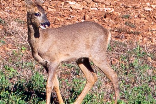 5D3_7565-2.jpg