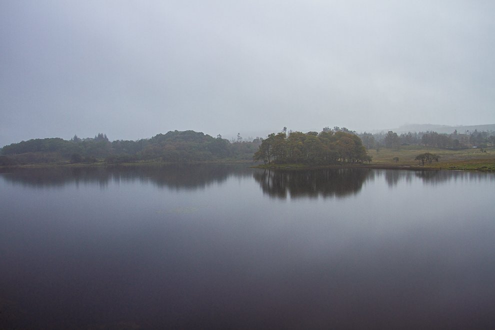 18092019-IMG_8816.jpg