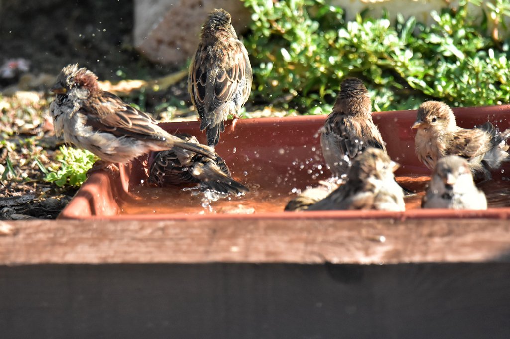 1DSC_7635.jpg