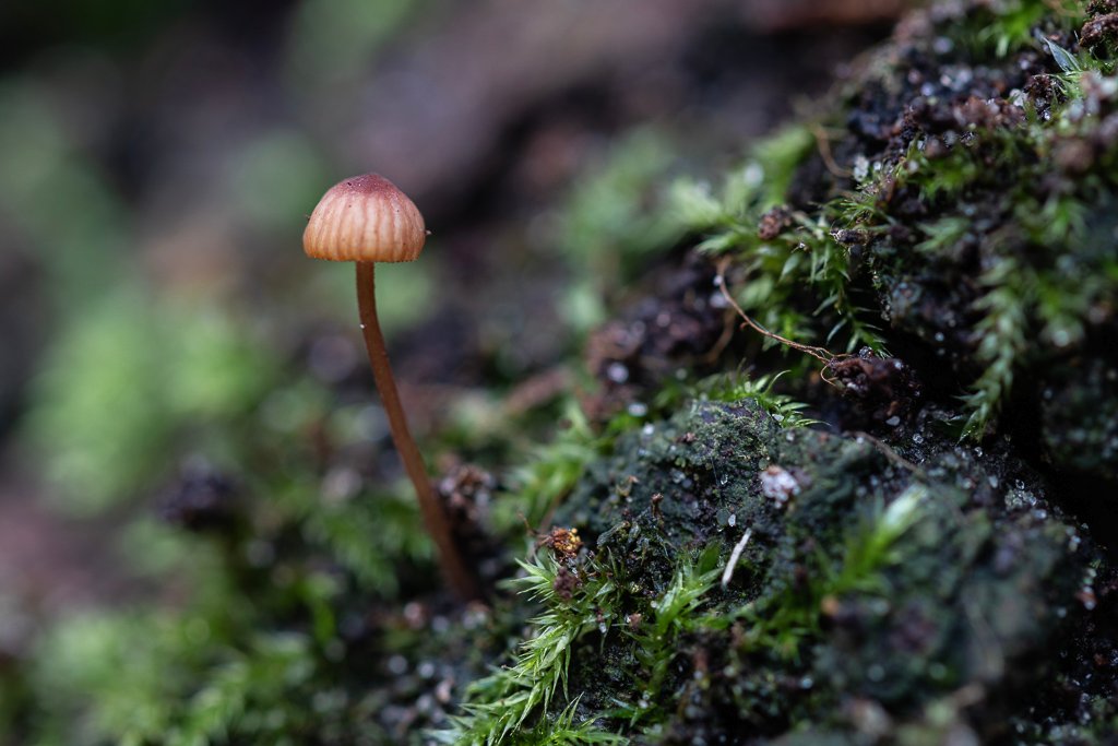 20191025-3030.jpg