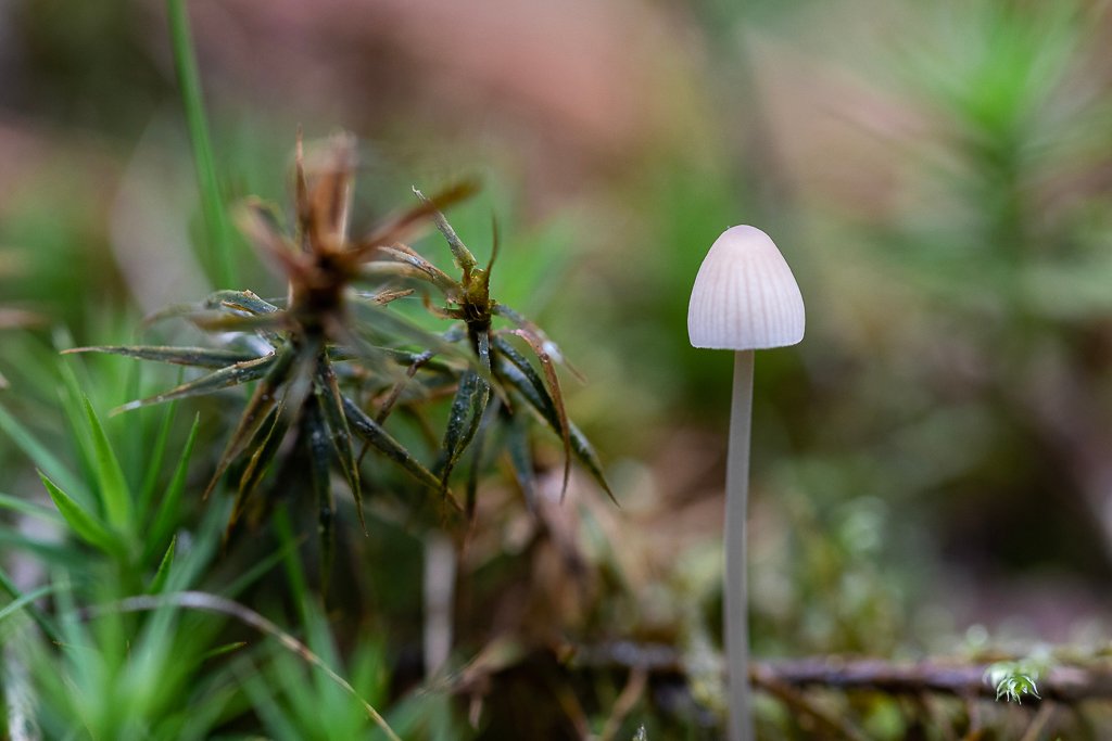 20191025-3015.jpg