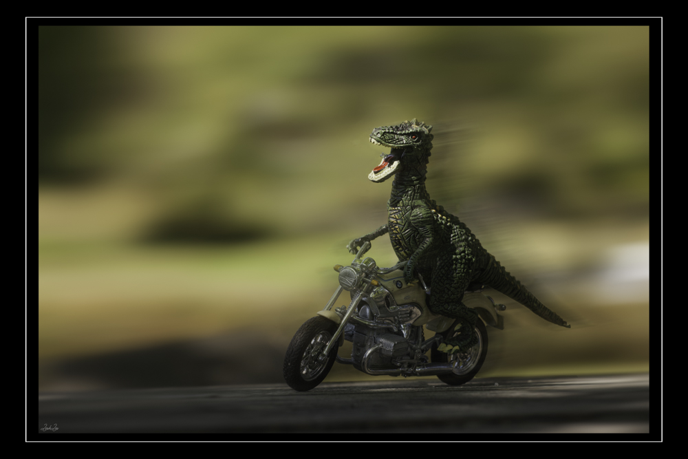 _MG_4381-Modifier.jpg