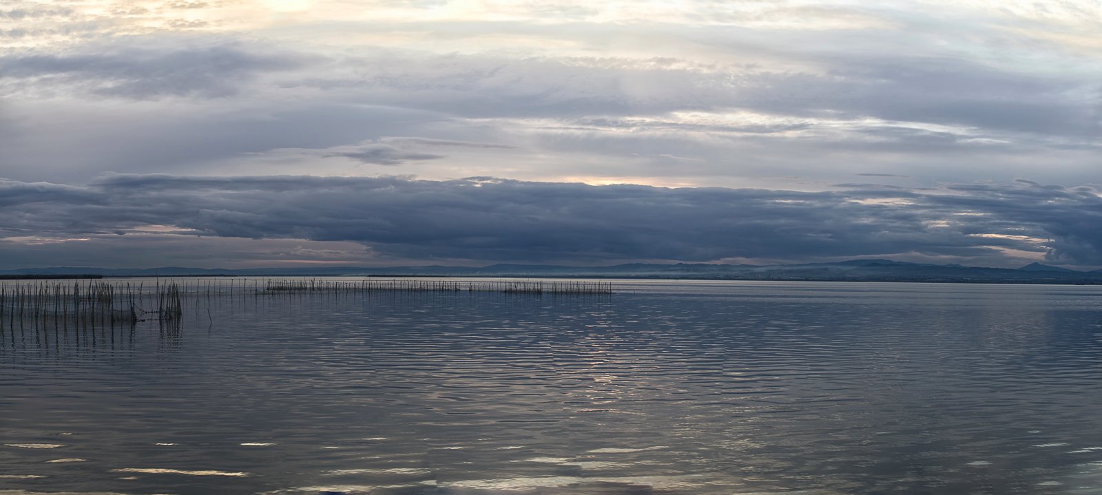 Pano-Albuféra-11_2019_1_2.jpg