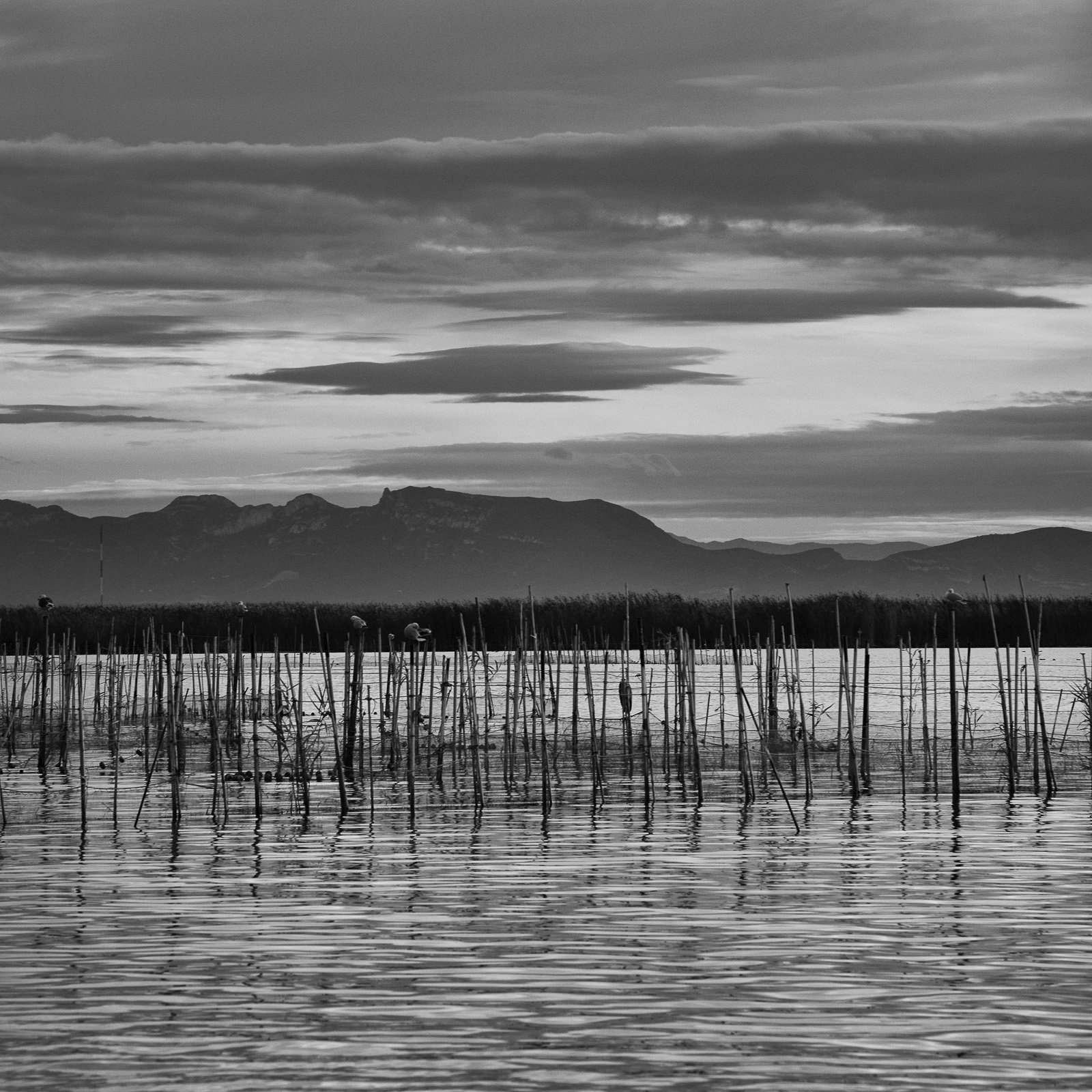 _DSC4680.jpg