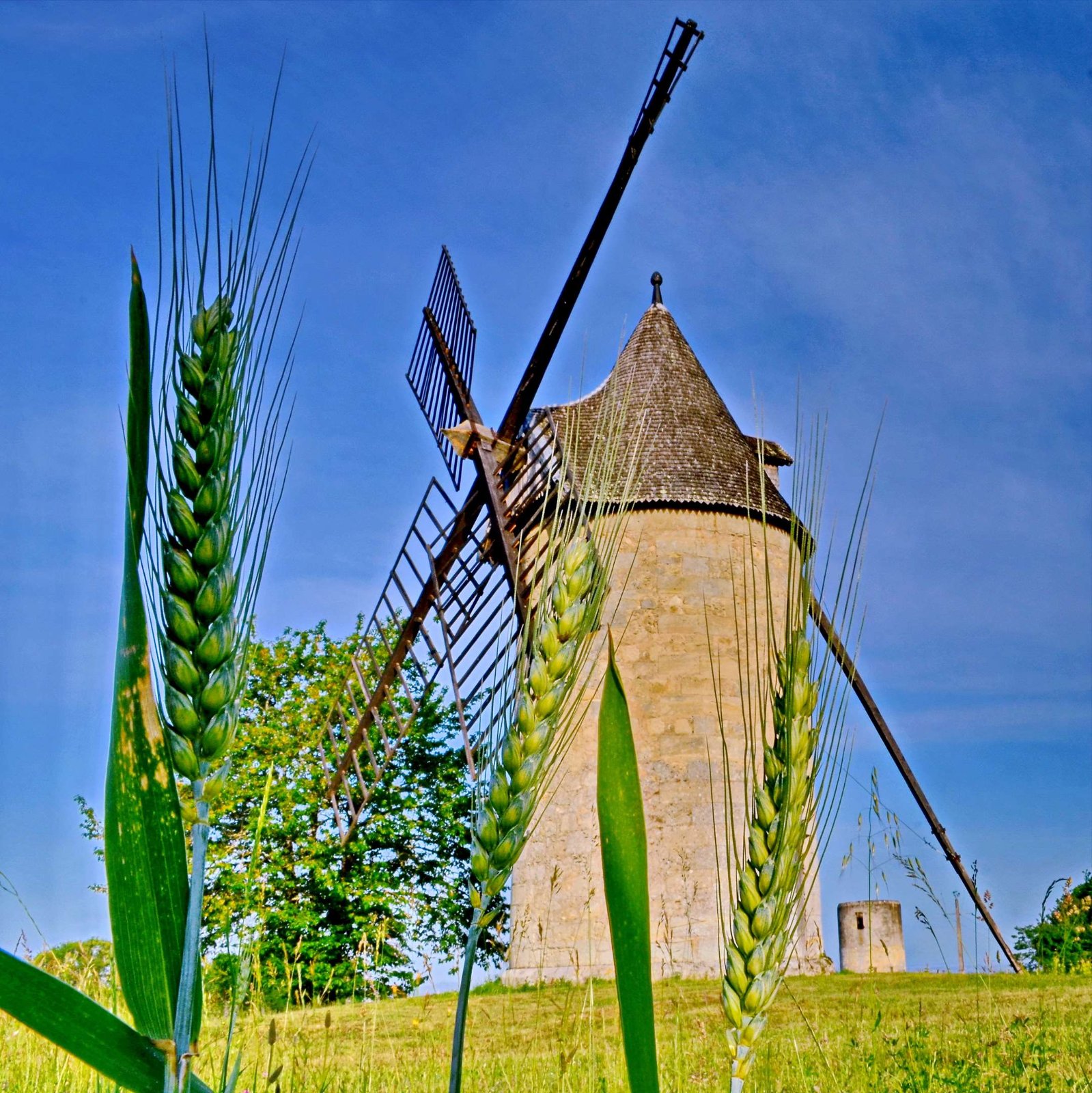 _copie-0_calon1.jpg