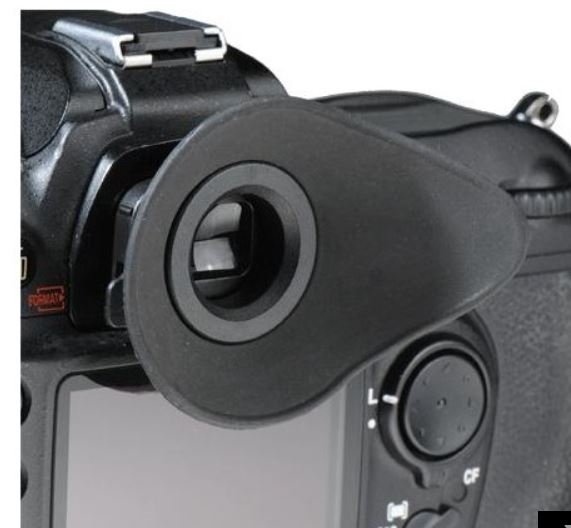 Capture.JPG
