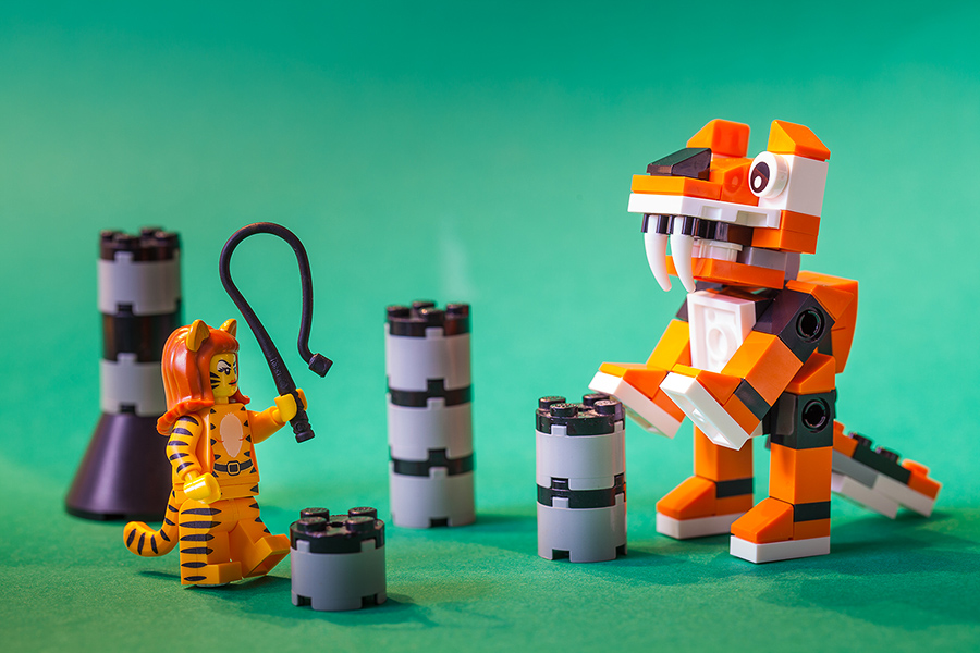 900_Lego_1308.jpg