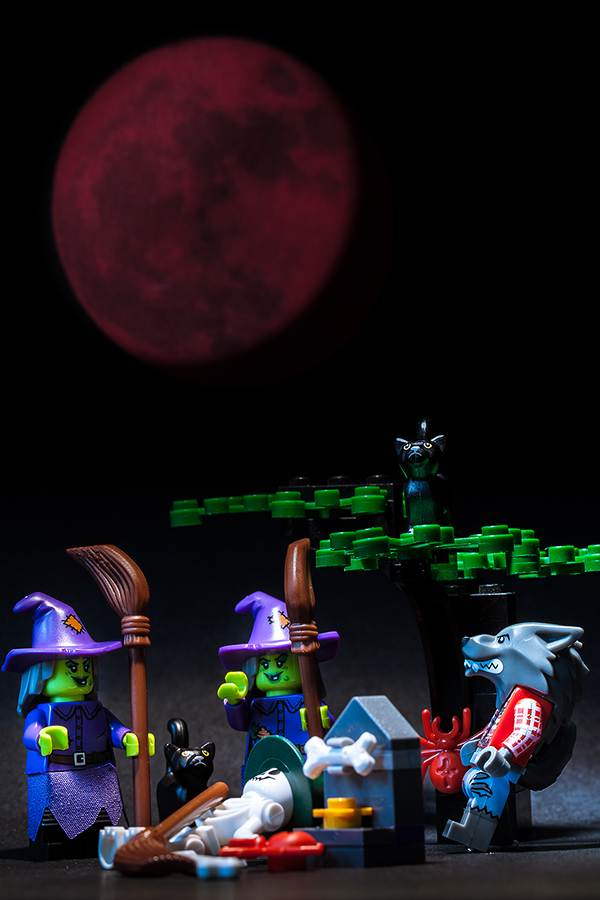 900_Lego_1324.jpg