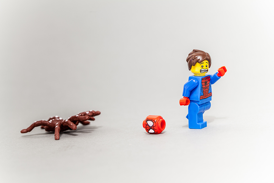 900_Lego_1338.jpg