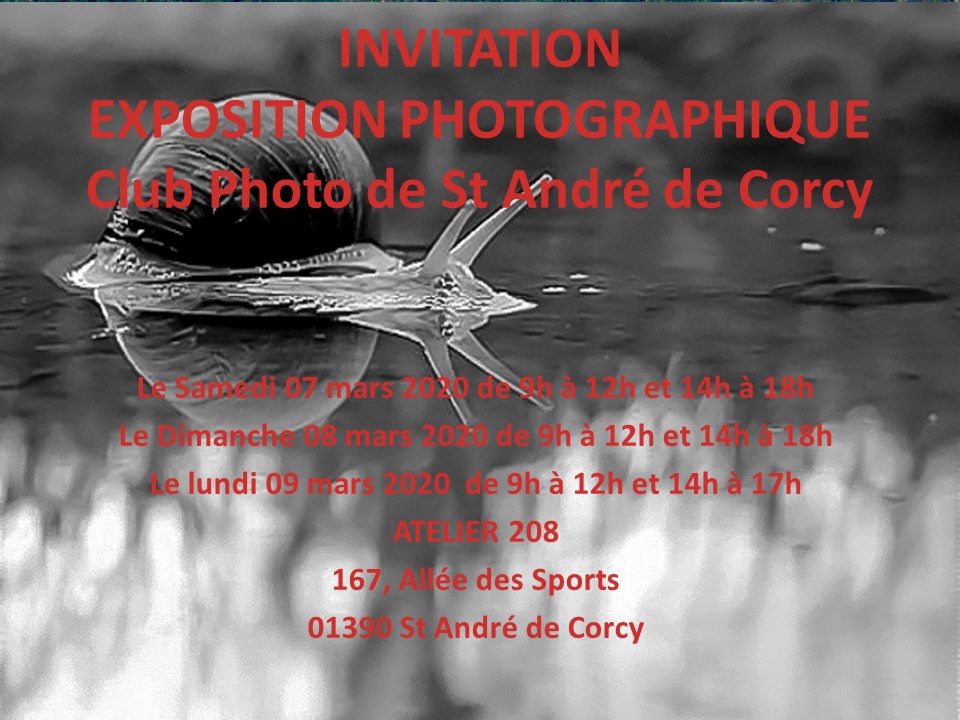 invitation31.jpg