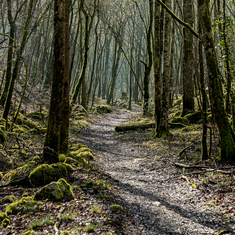 Vincent JeanLouis78.jpg