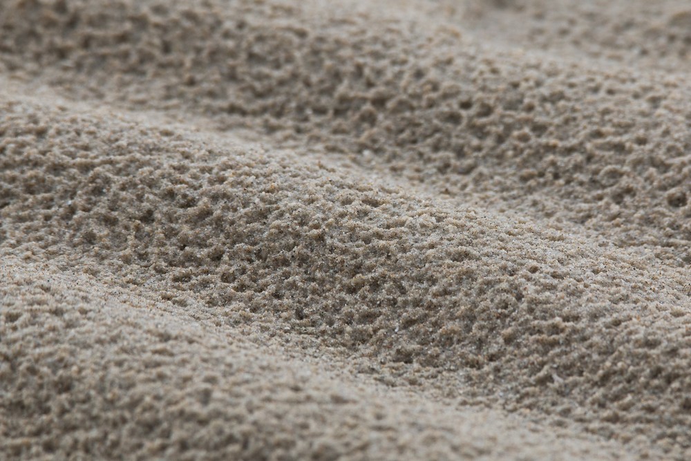 IMG_86821 - Copie.jpg