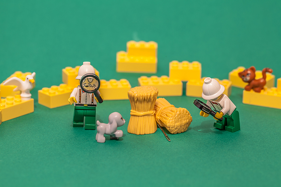 900_Lego_1361.jpg
