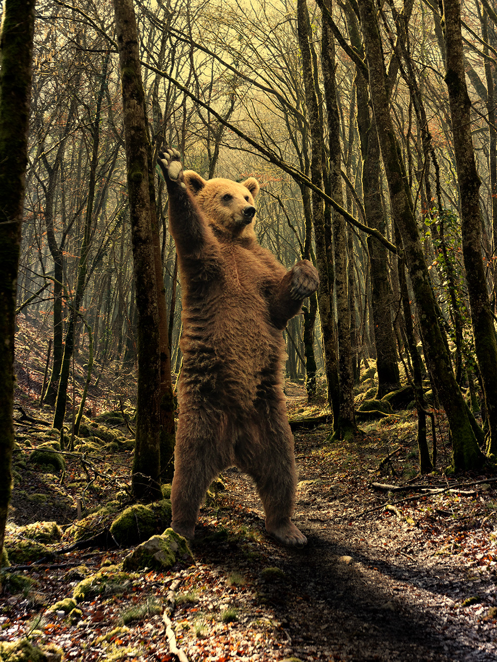 Photo Vincent-Modifiée .jpg