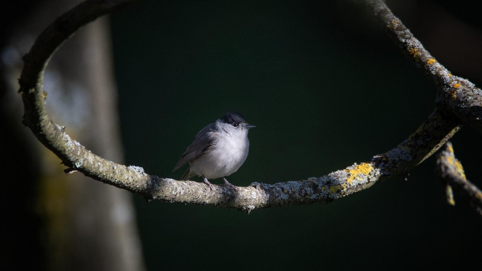 DSC_0452-Modifier.jpg