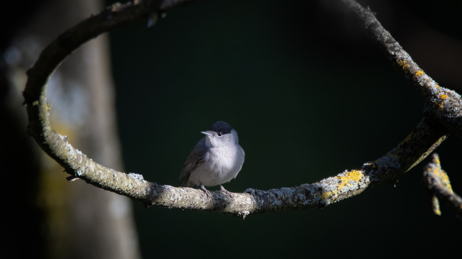DSC_0459-Modifier.jpg