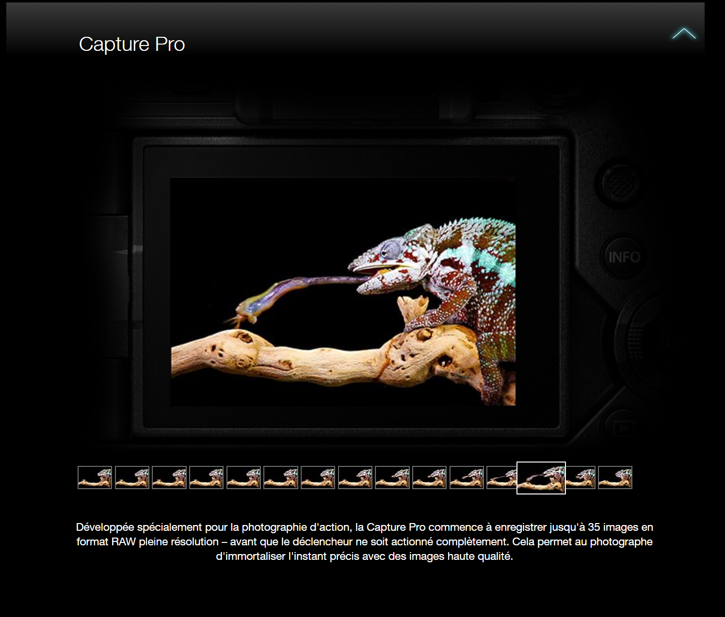 Capture.PNG