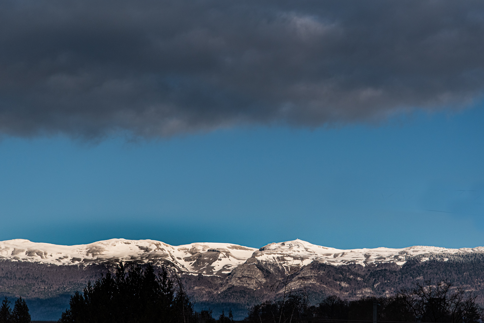 DSC_0127-2.jpg