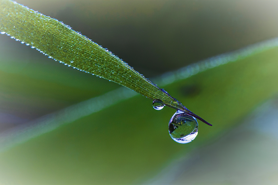 Goutte_v2b.jpg