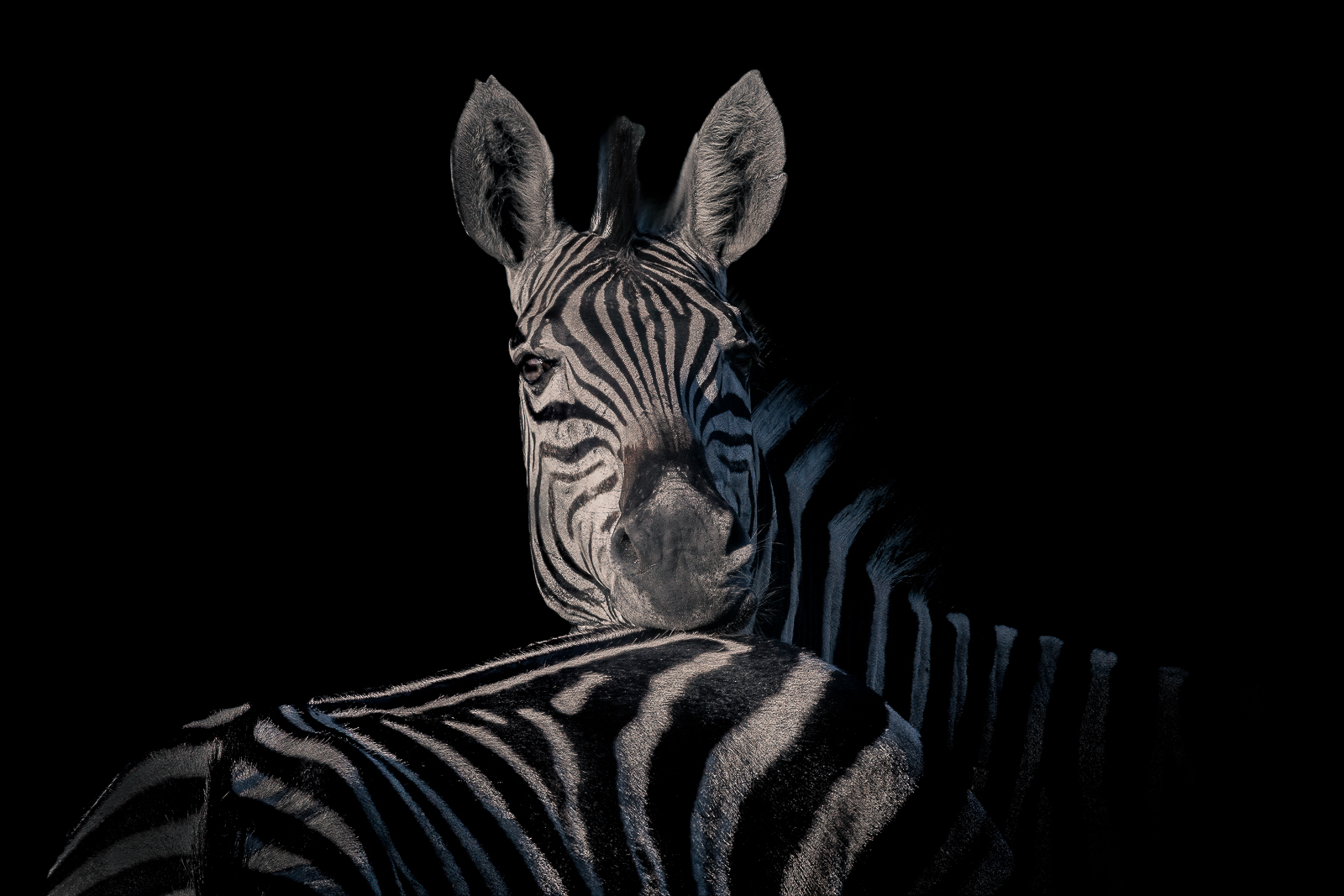IMG_6819-Edit-2-Edit.jpg