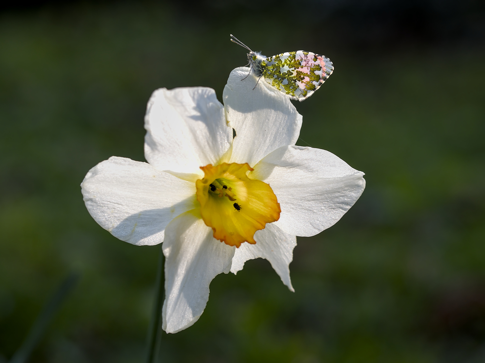 _JCA0008_01.jpg
