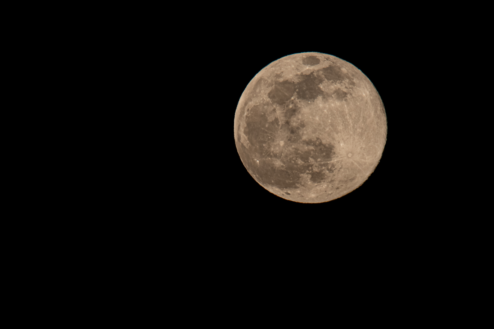 09032020-0L1A0607-Modifier.jpg