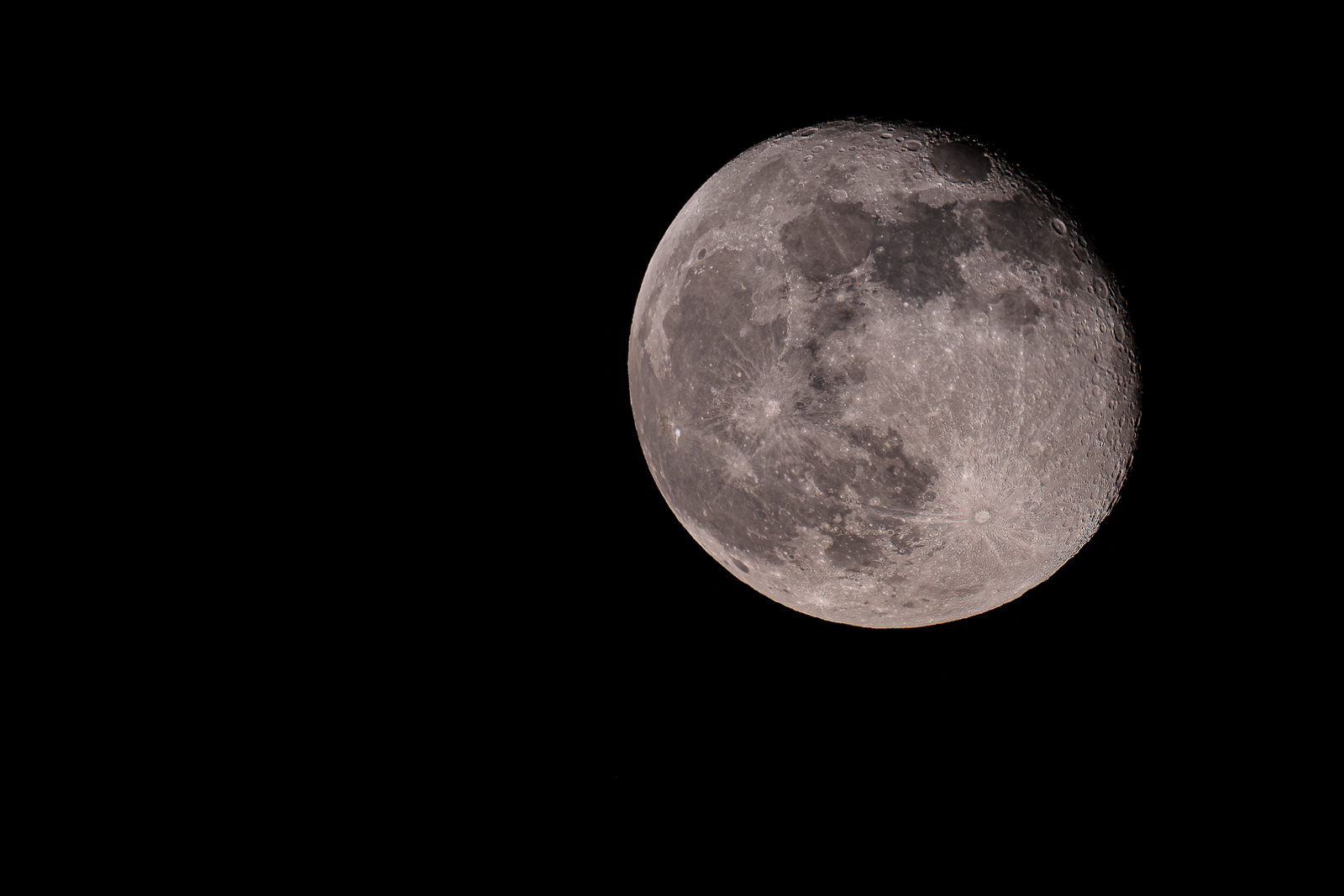 DSC_2067-sharpen-focus.jpg