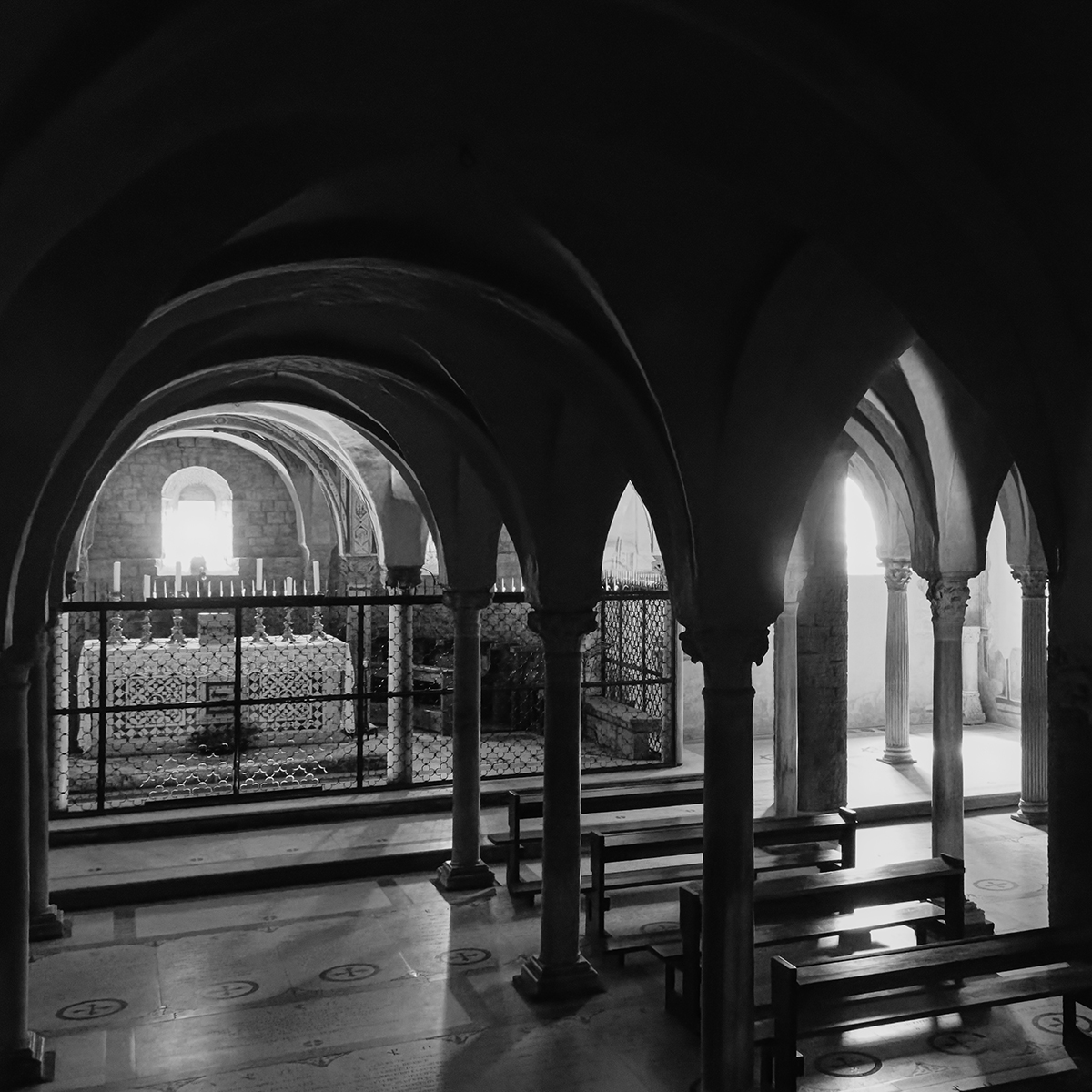 _IMG5488_DxO_w.jpg
