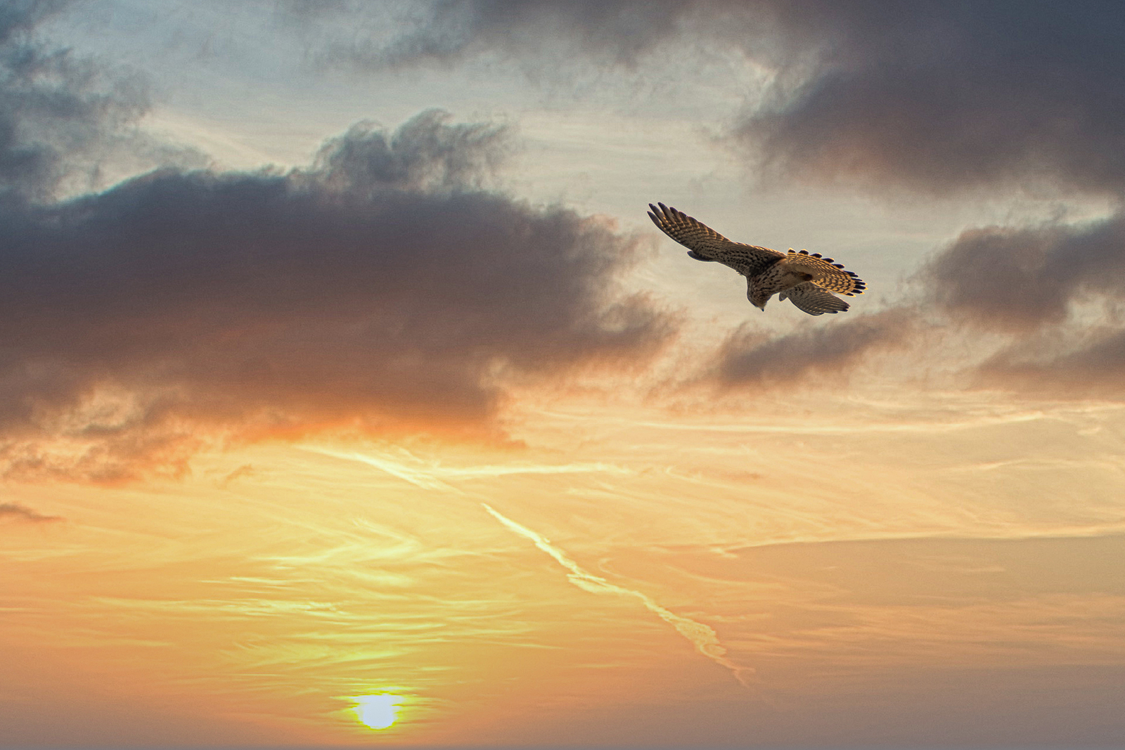 DSC_2125-Modifier-2.jpg
