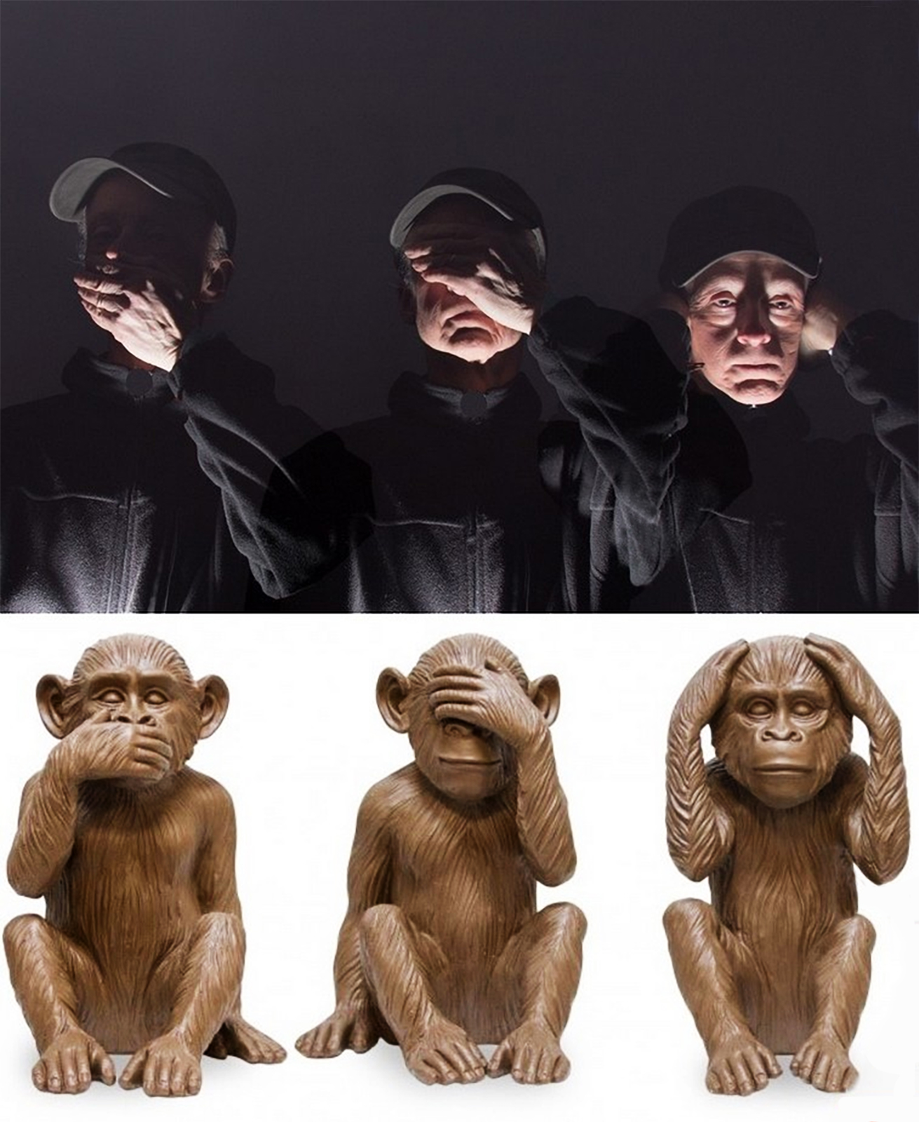 Photo Didier - Singes.jpg