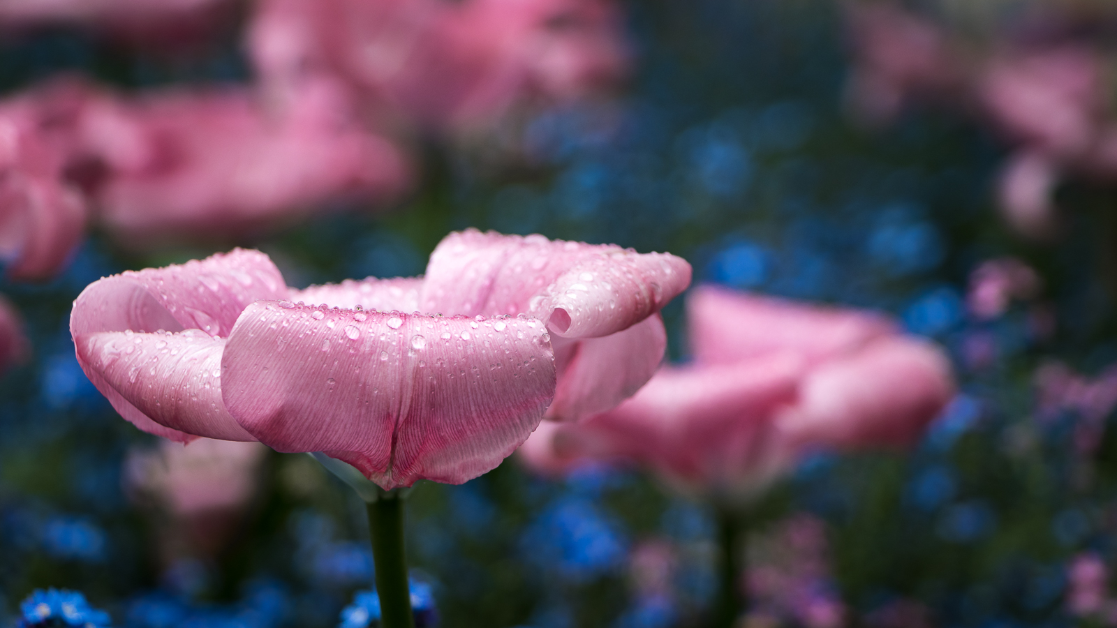 20170415-2206.jpg