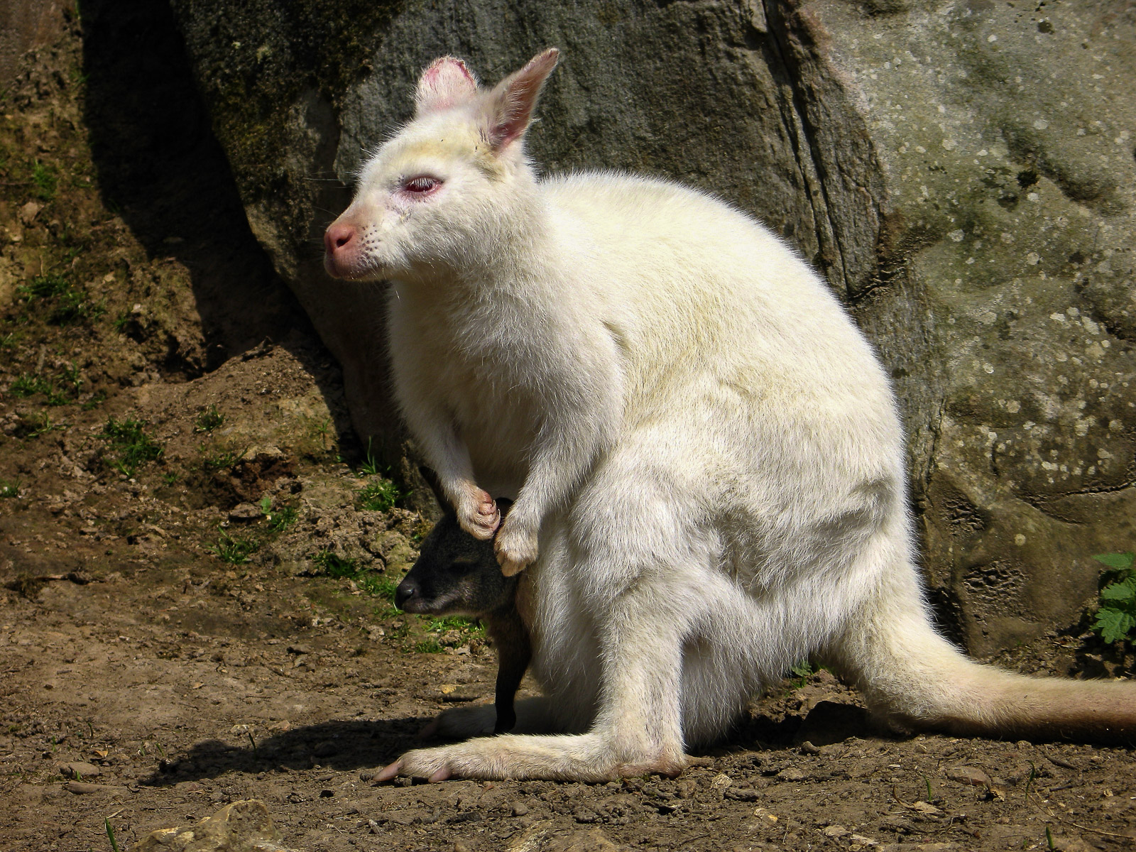 20100417-035.jpg