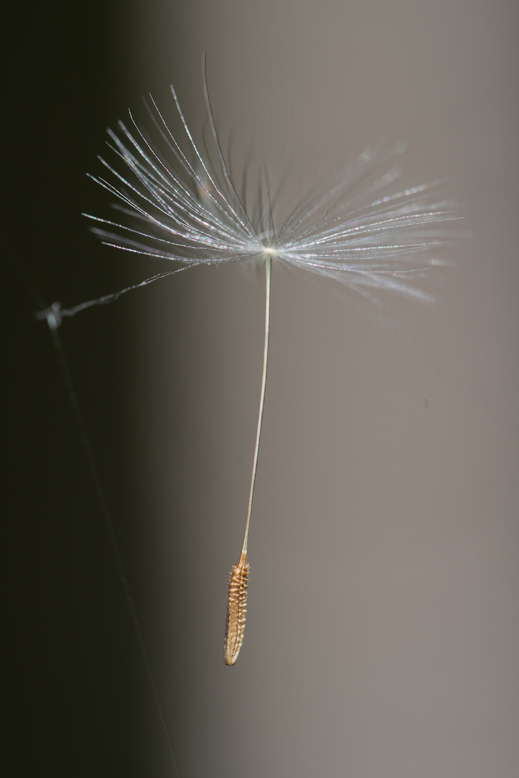 DSC_2670.jpg