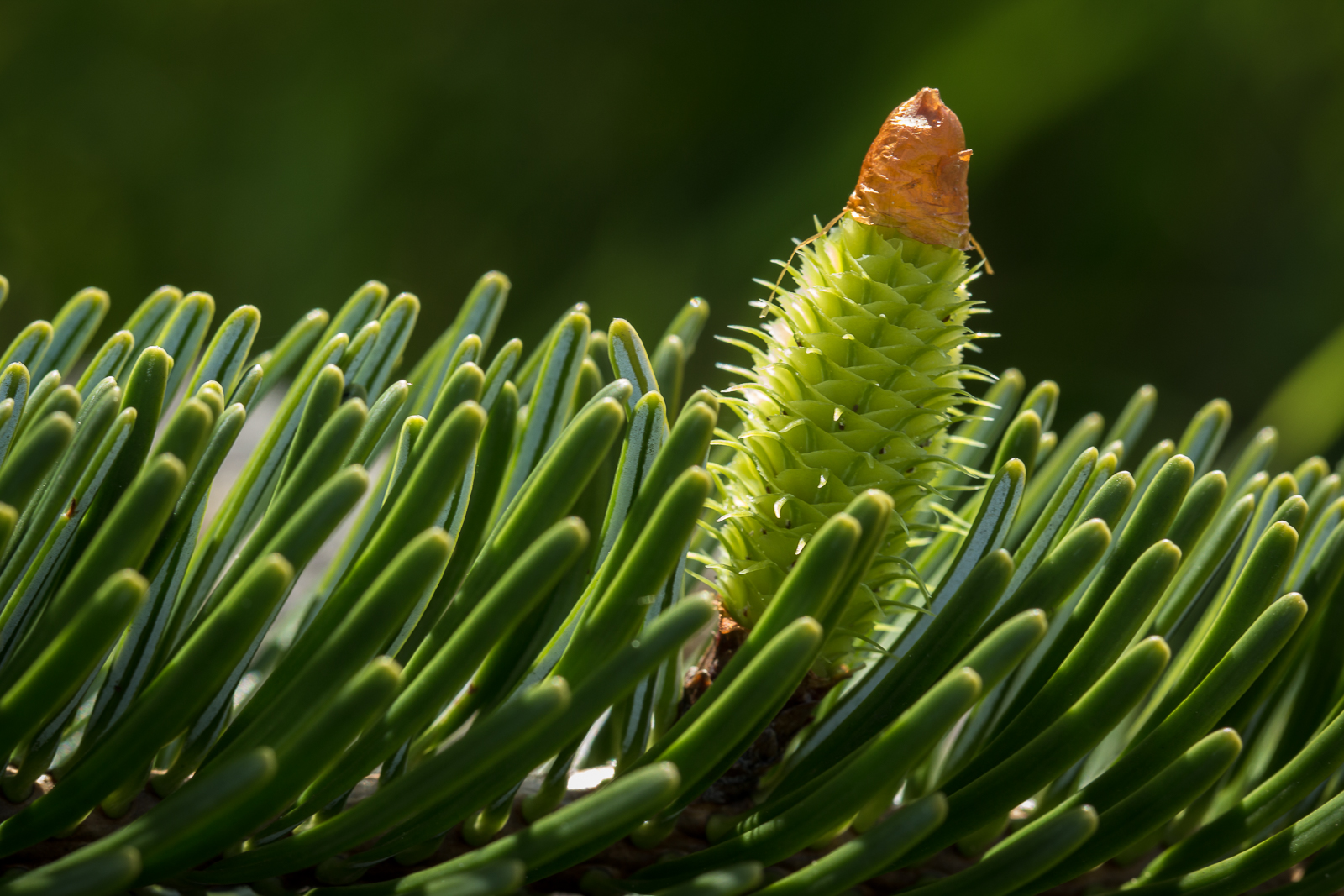 20160419-4907.jpg
