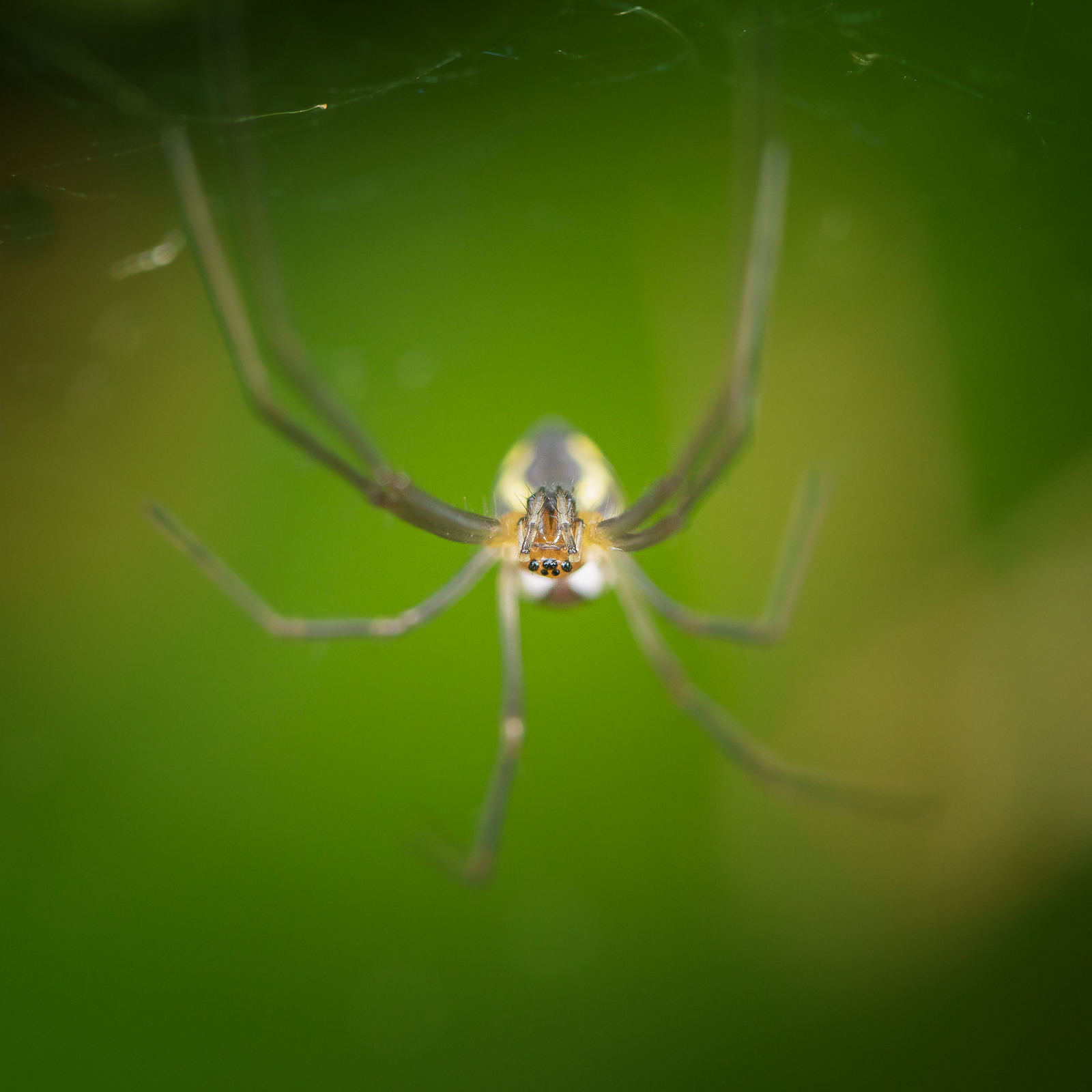 DSC_2723-Modifier.jpg
