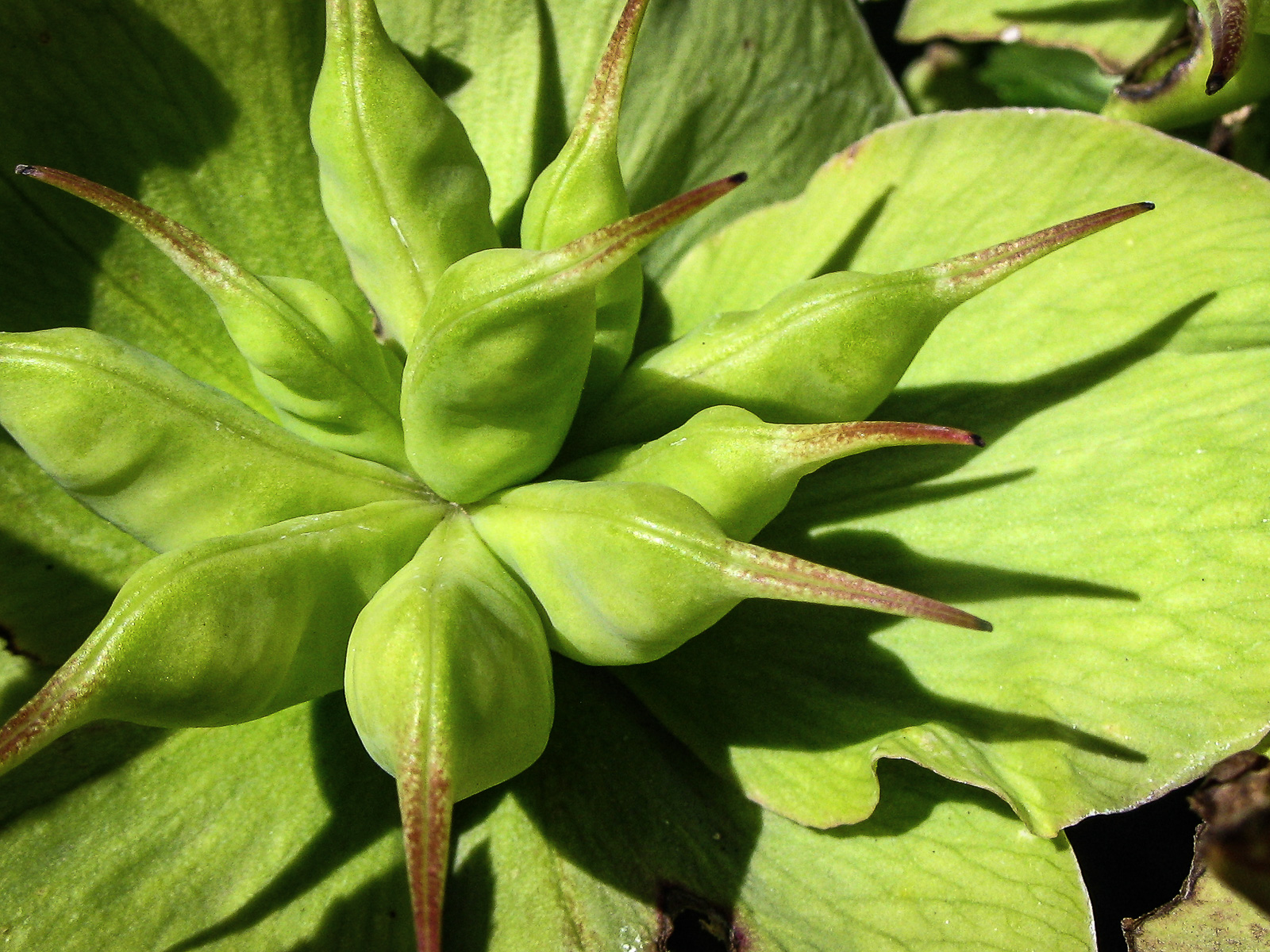 20120422-006.jpg