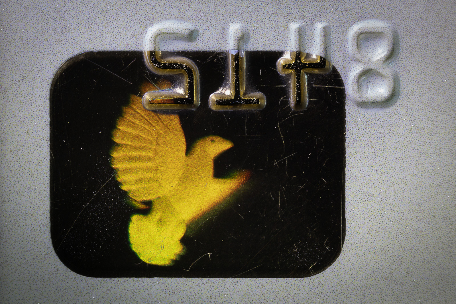 20200422-5268.jpg