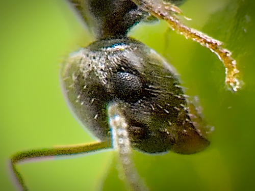 _JCA0028.jpg