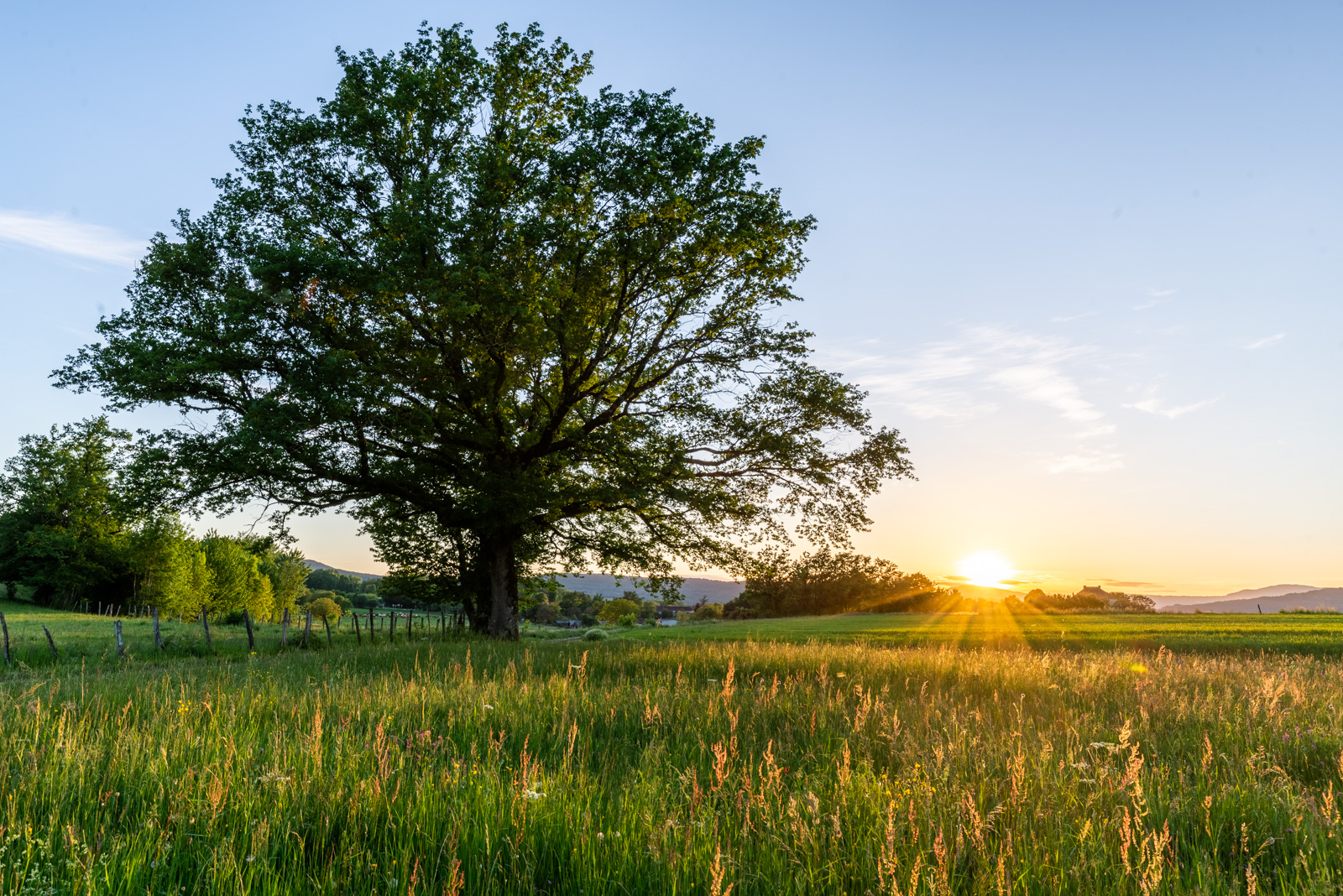 _DSC6766-HDR.jpg