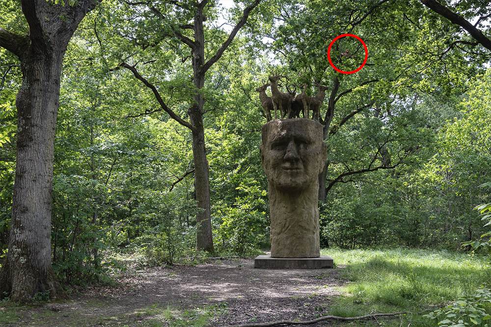 Photo booHguy - Le gardien.jpg