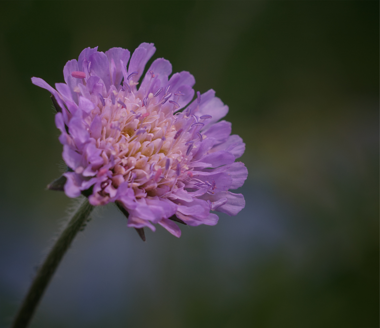 _DSC6074.jpg