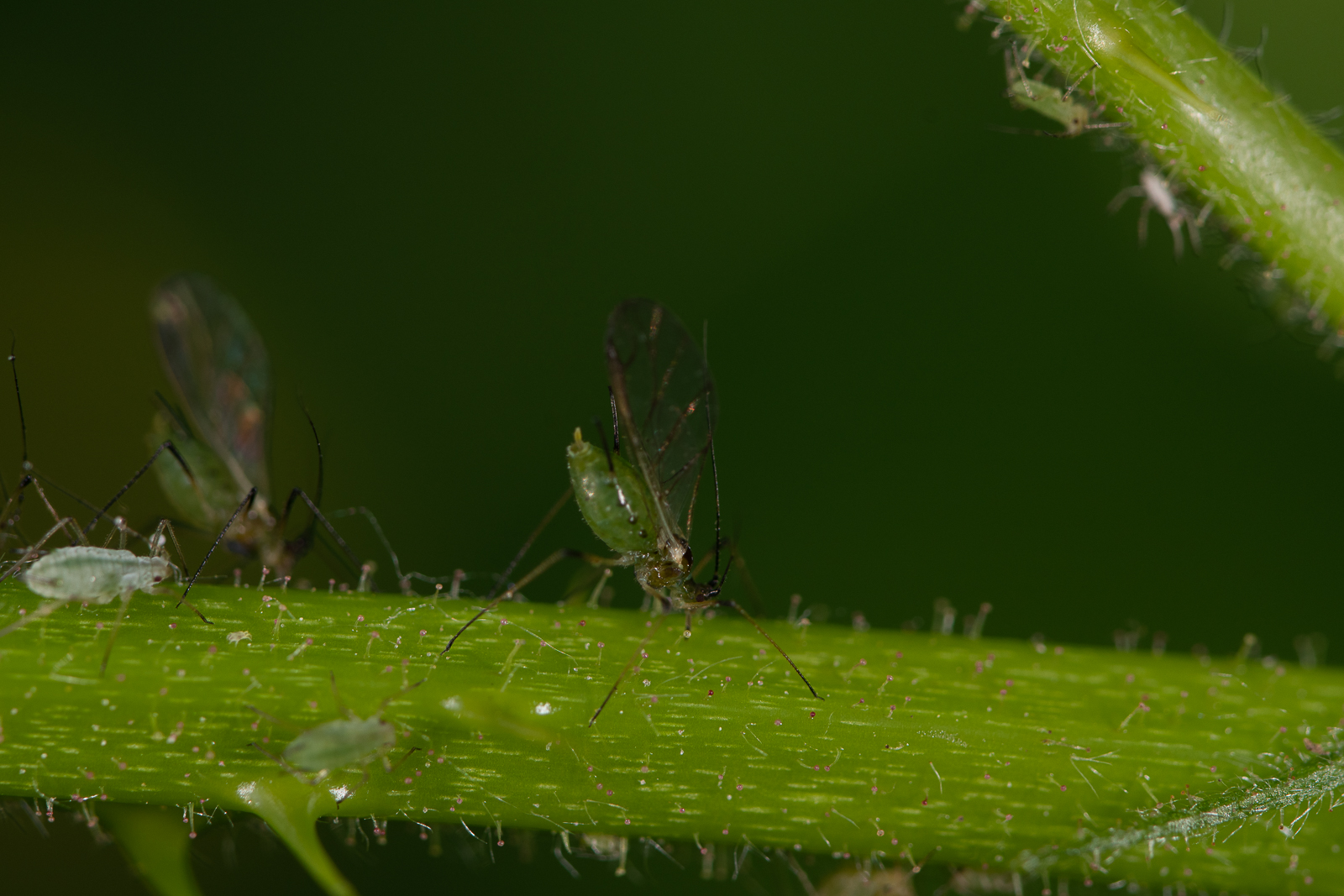 DSC_3615.jpg