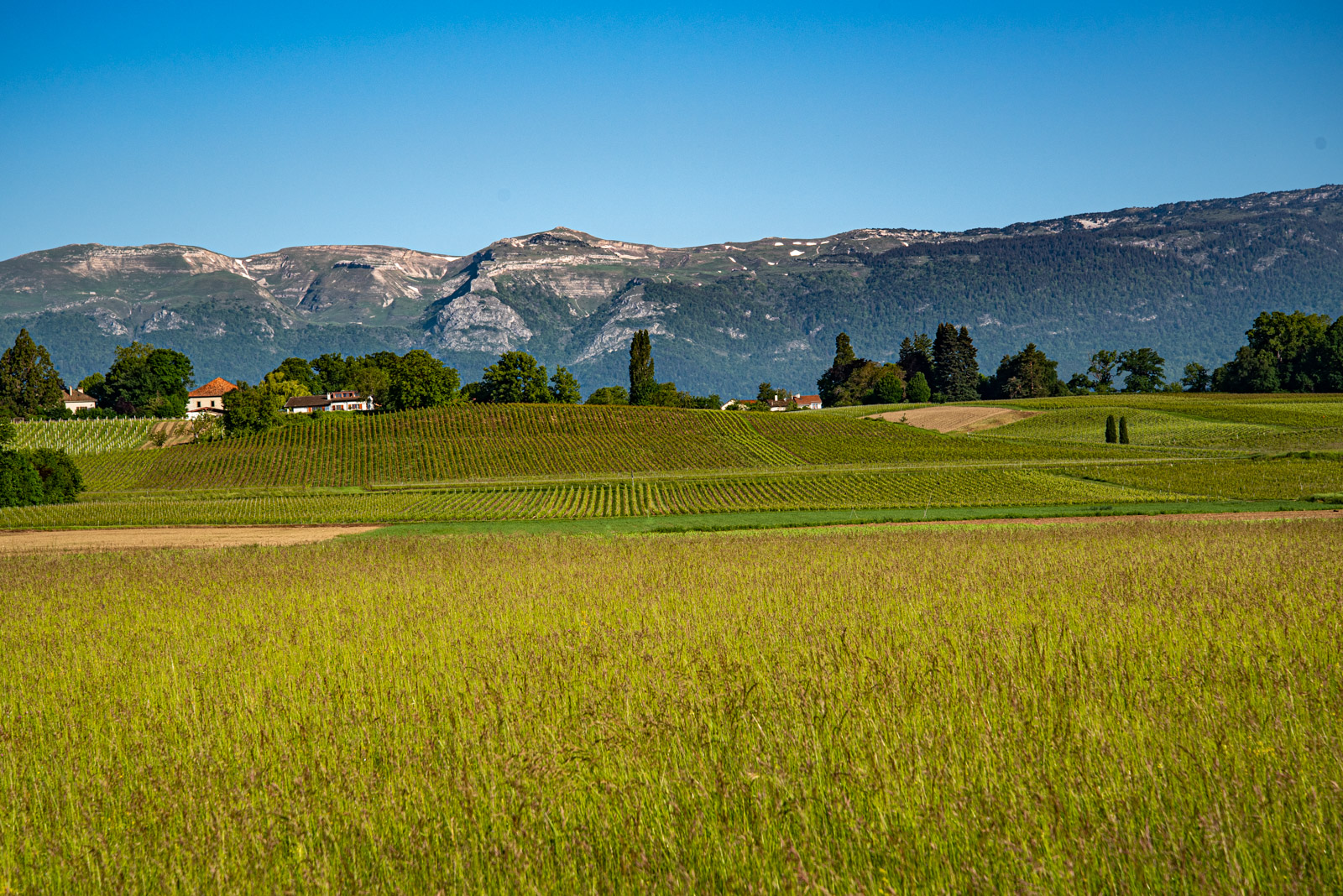 _DSC0160.jpg