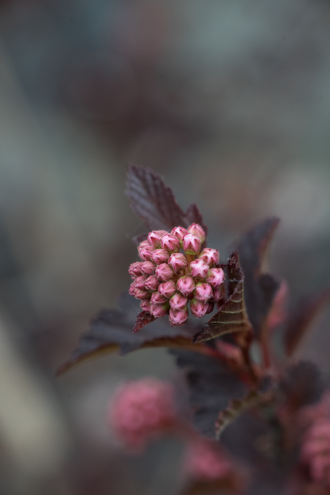 _DSC6124.jpg