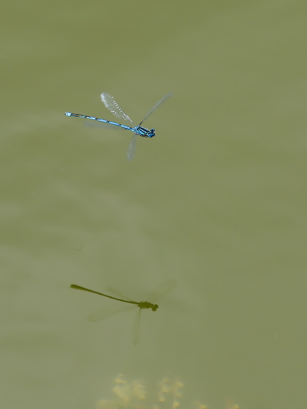 _JCA0310.jpg