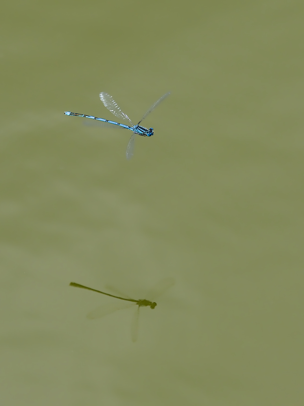 _JCA0310.jpg